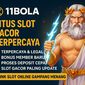 11bola-banner